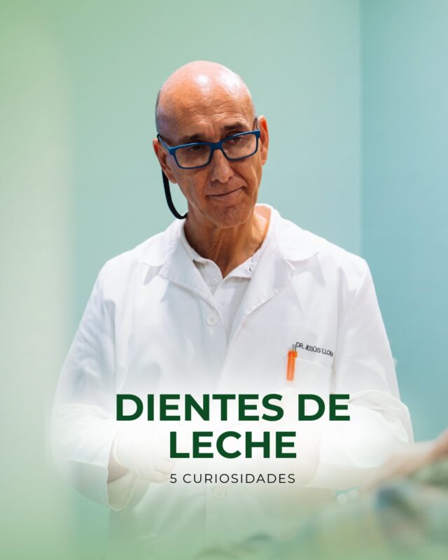 🦷✨ ¡Los dientes de leche son pequeños, pero MUY importantes! 

¿Sabías que se empiezan a formar incluso antes de nacer? 🤯 

📍C/Colón de Larreategui 17, Bilbao
📍C/Amezti 7 Bajo, Algorta