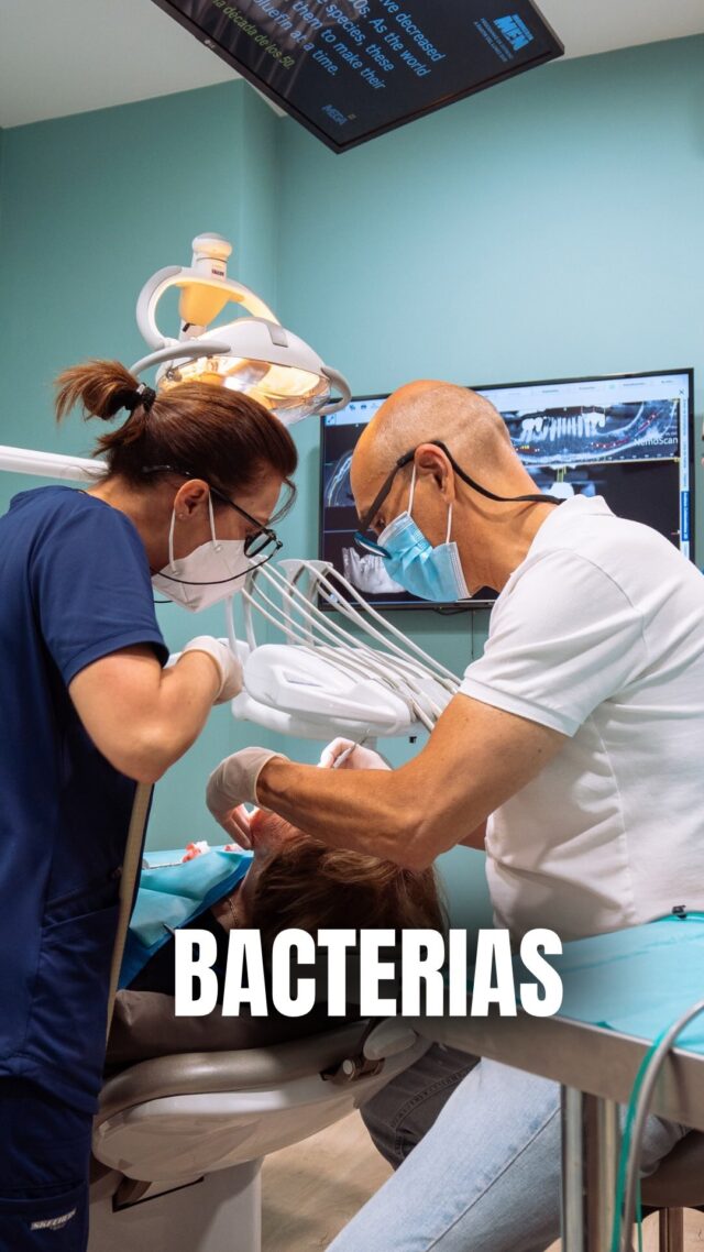 ¿Sabías que las bacterias de tu boca pueden afectar TODO tu cuerpo? 🦠🦷

No son solo causantes de caries y mal aliento… La salud de tu boca está directamente conectada con tu salud general.

📍C/Colón de Larreategui 17, Bilbao
📍C/Amezti 7 Bajo, Algorta